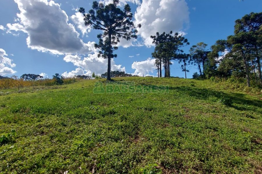 Chácara, no bairro Nossa Senhora das Graças em Caxias do Sul para Comprar