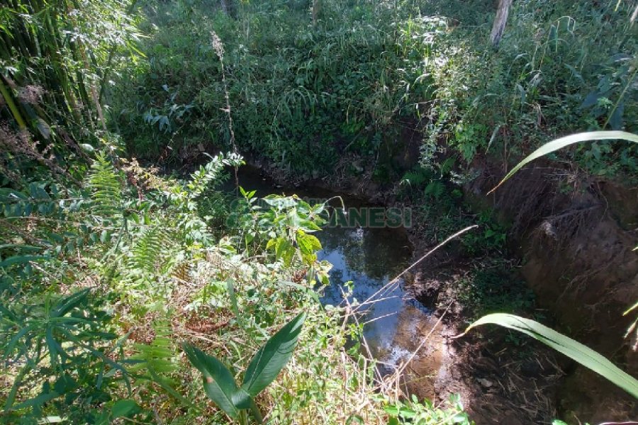 Chácara, no bairro Nossa Senhora das Graças em Caxias do Sul para Comprar