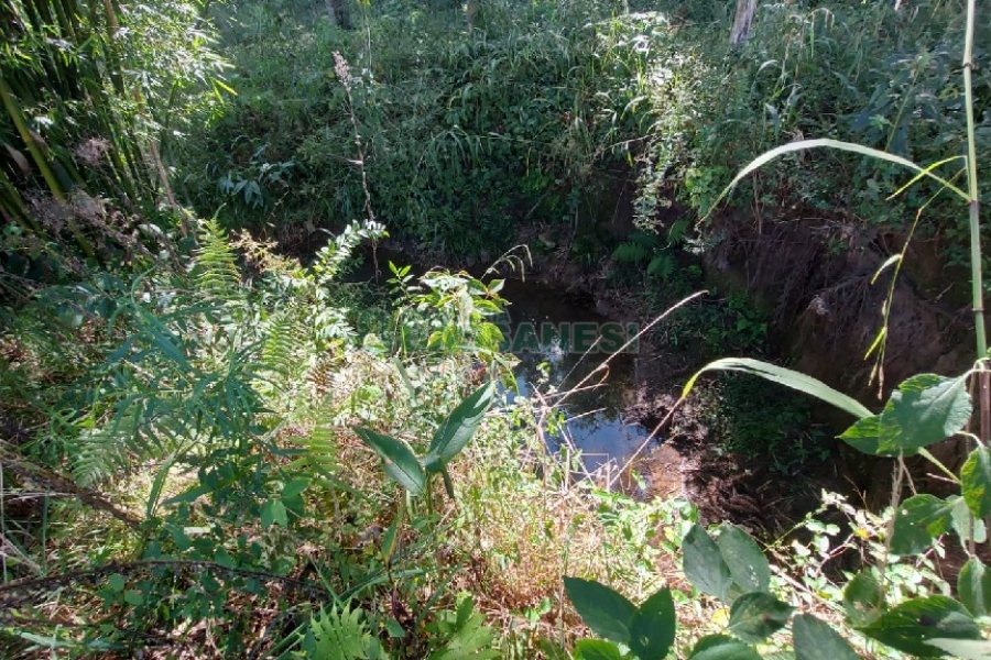 Chácara, no bairro Nossa Senhora das Graças em Caxias do Sul para Comprar