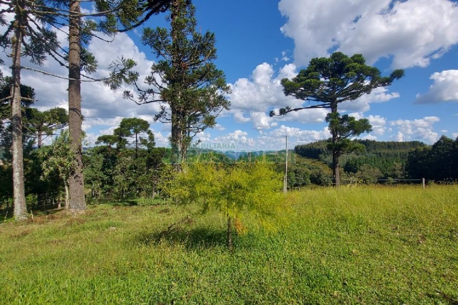 Chácara, no bairro Nossa Senhora das Graças em Caxias do Sul para Comprar