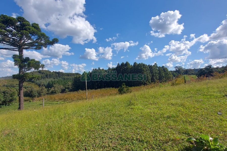 Chácara, no bairro Nossa Senhora das Graças em Caxias do Sul para Comprar