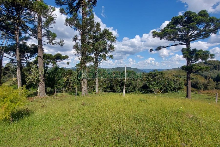 Chácara, no bairro Nossa Senhora das Graças em Caxias do Sul para Comprar
