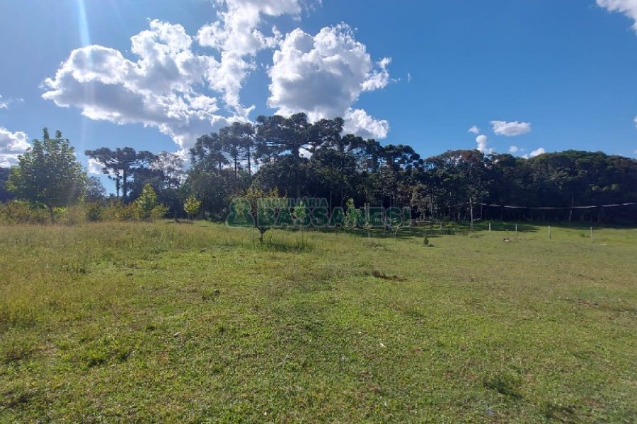 Chácara, no bairro Nossa Senhora das Graças em Caxias do Sul para Comprar
