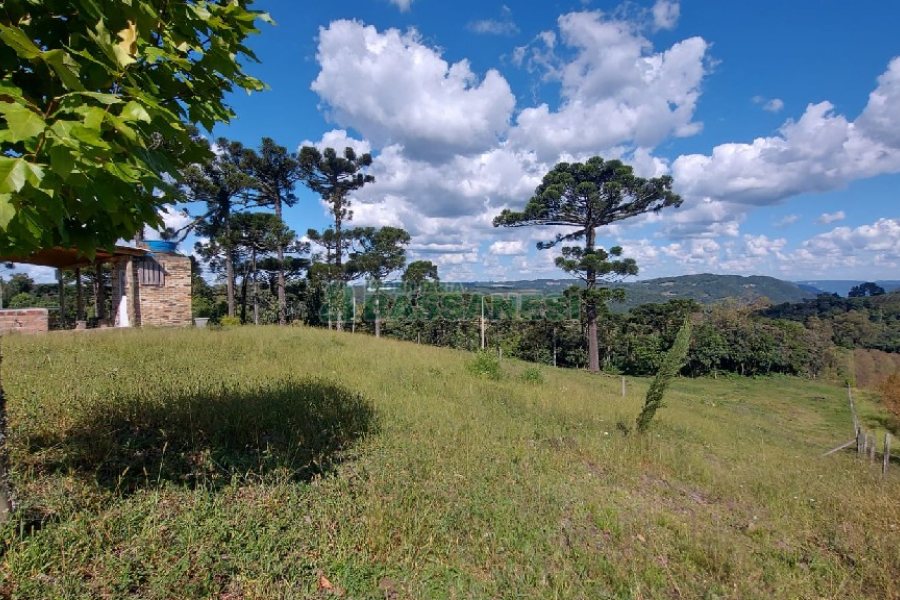 Chácara, no bairro Nossa Senhora das Graças em Caxias do Sul para Comprar