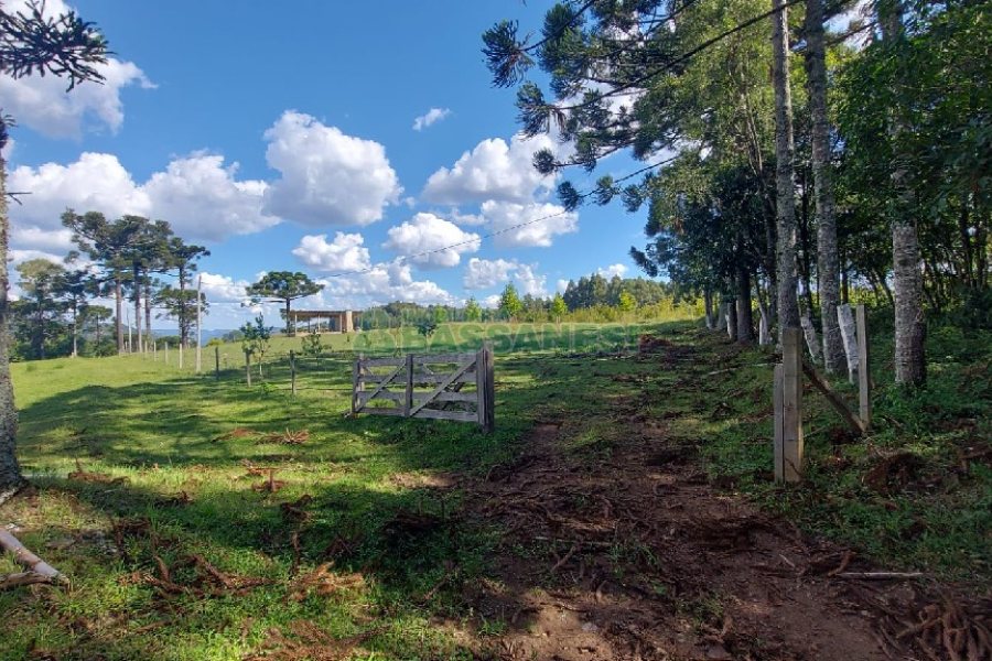 Chácara, no bairro Nossa Senhora das Graças em Caxias do Sul para Comprar