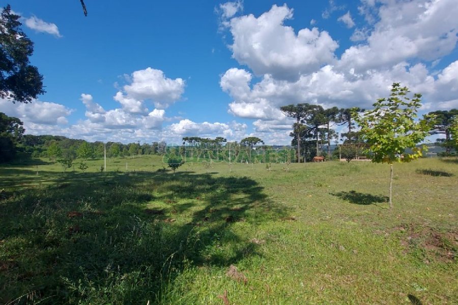 Chácara, no bairro Nossa Senhora das Graças em Caxias do Sul para Comprar