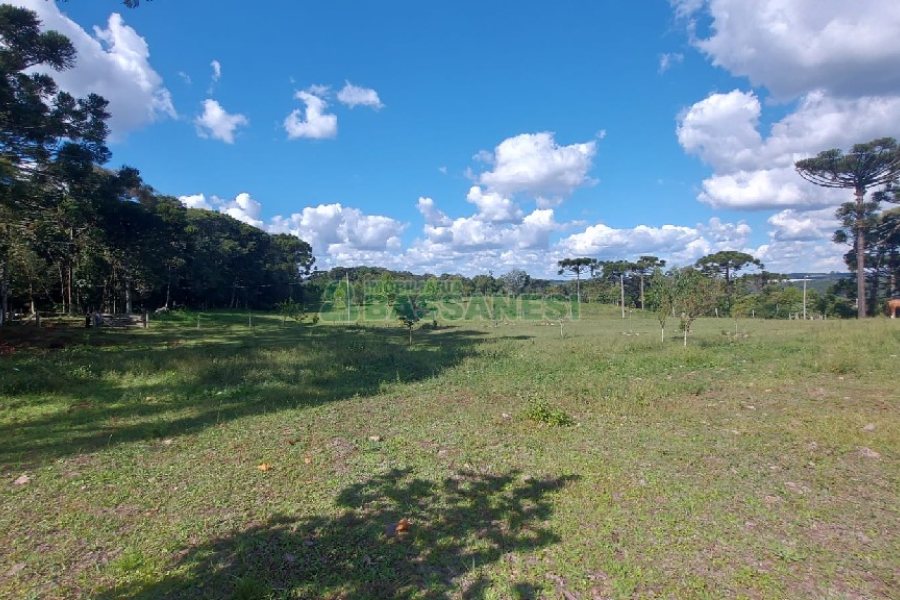 Chácara, no bairro Nossa Senhora das Graças em Caxias do Sul para Comprar