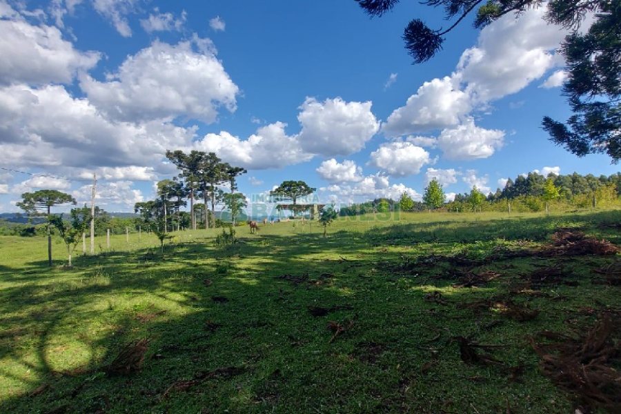 Chácara, no bairro Nossa Senhora das Graças em Caxias do Sul para Comprar