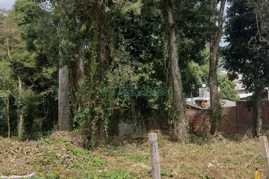 Terreno, no bairro Cidade Nova em Caxias do Sul para Comprar