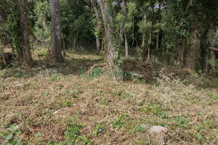 Terreno, no bairro Cidade Nova em Caxias do Sul para Comprar