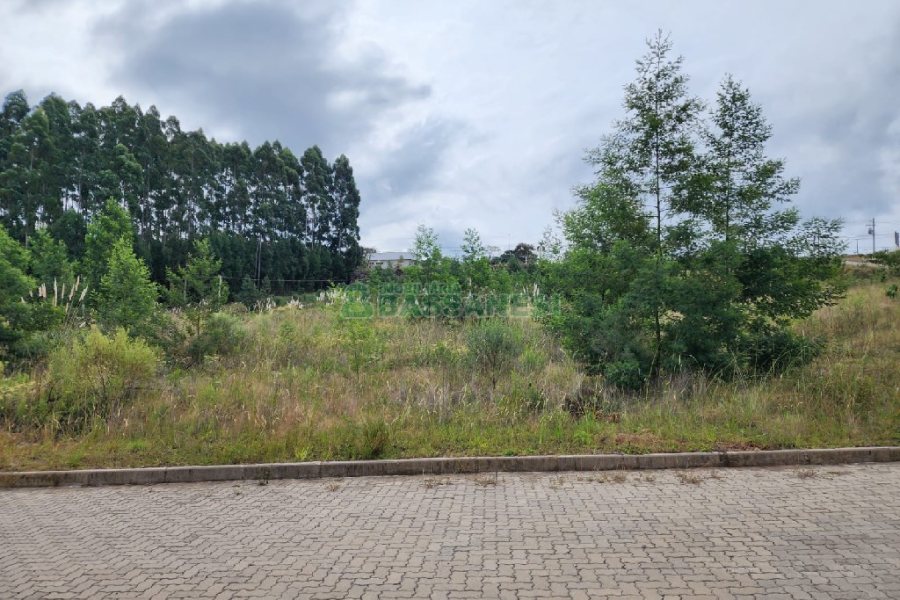 Terreno, no bairro Ana Rech em Caxias do Sul para Comprar