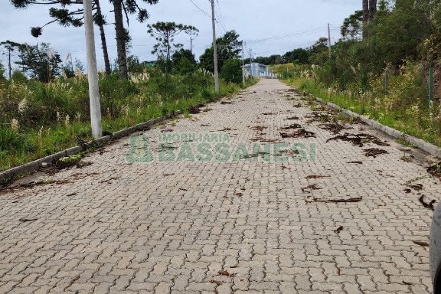Terreno, no bairro Ana Rech em Caxias do Sul para Comprar