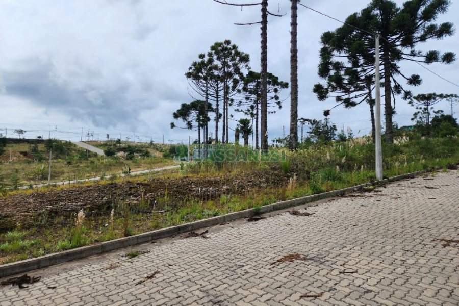 Terreno, no bairro Ana Rech em Caxias do Sul para Comprar