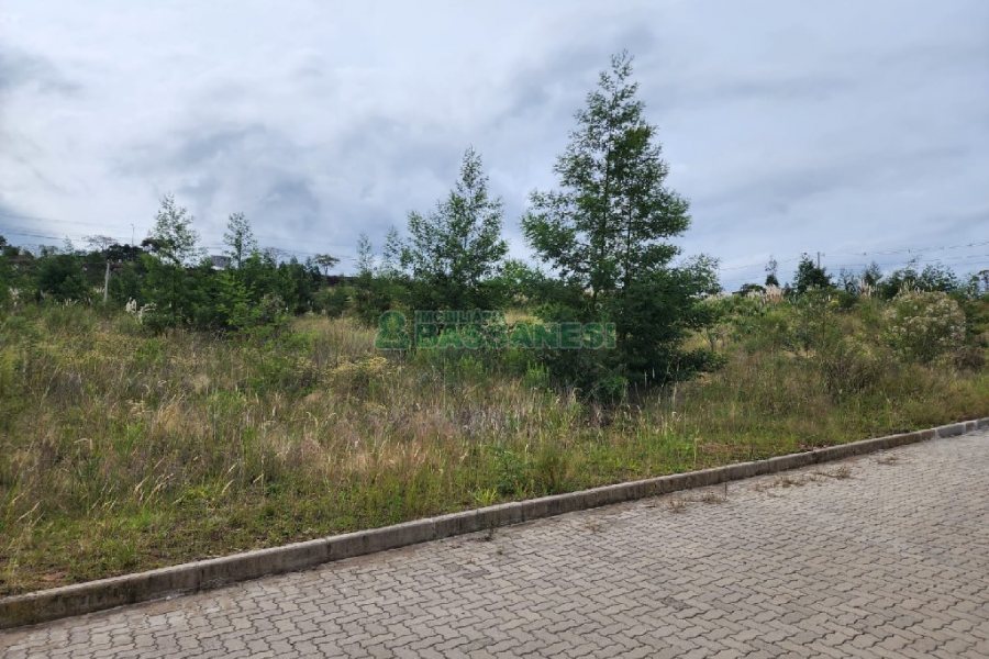 Terreno, no bairro Ana Rech em Caxias do Sul para Comprar