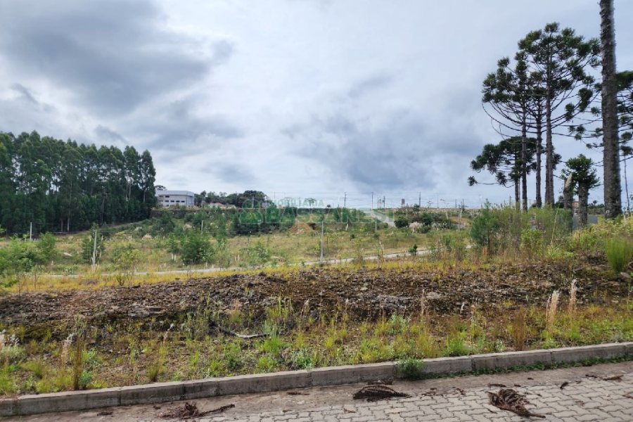 Terreno, no bairro Ana Rech em Caxias do Sul para Comprar