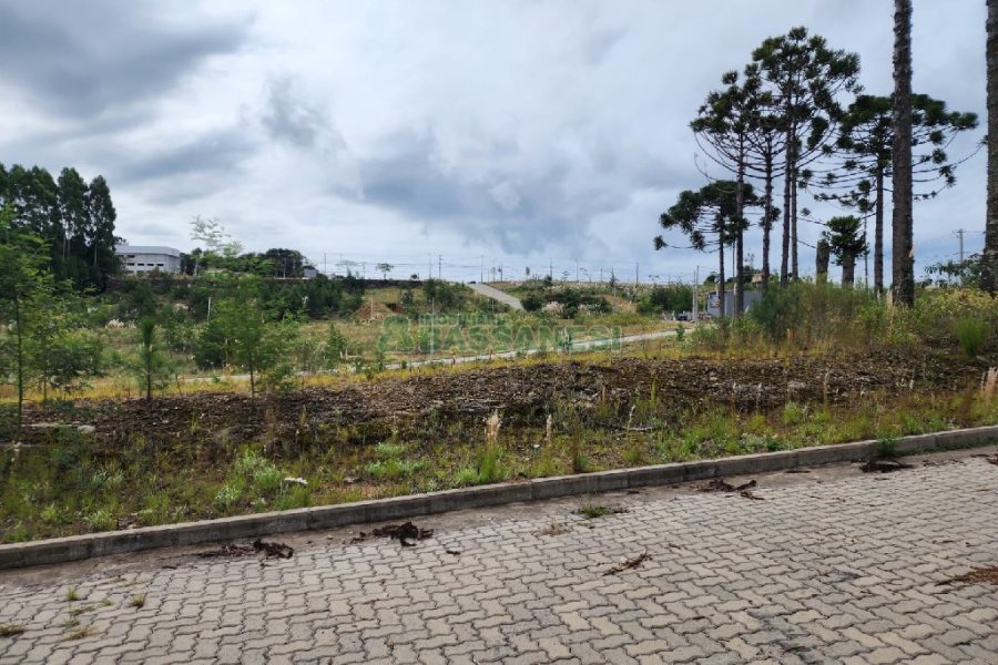 Terreno, no bairro Ana Rech em Caxias do Sul para Comprar