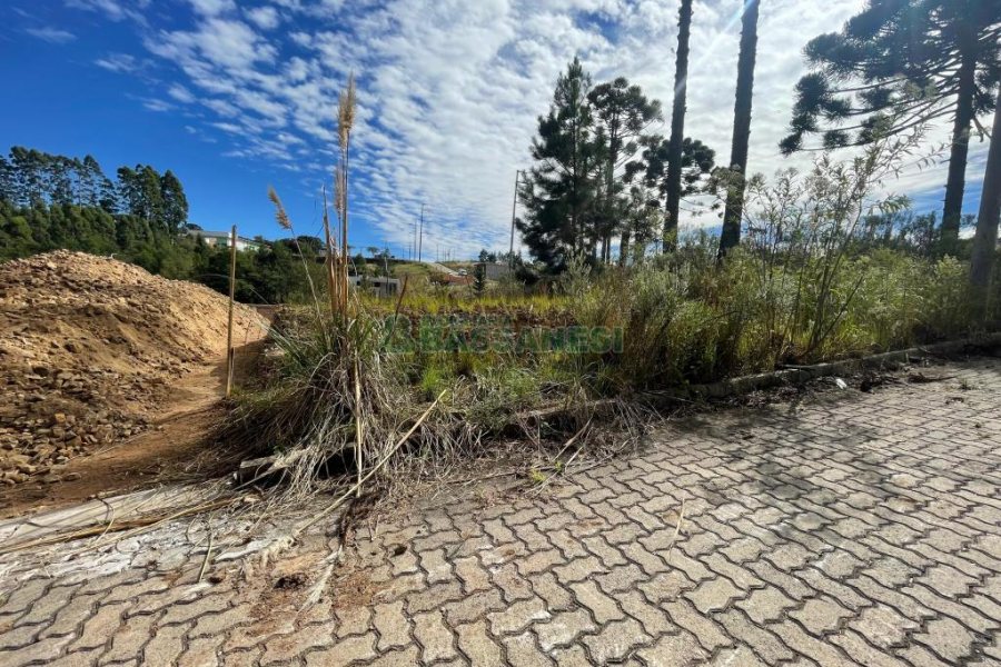Terreno com 378m², no bairro Ana Rech em Caxias do Sul para Comprar