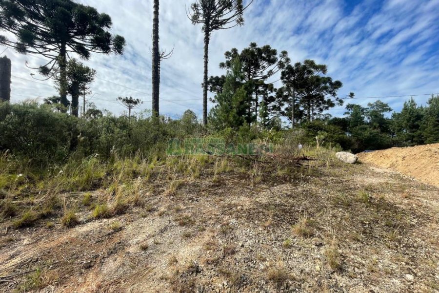 Terreno com 378m², no bairro Ana Rech em Caxias do Sul para Comprar