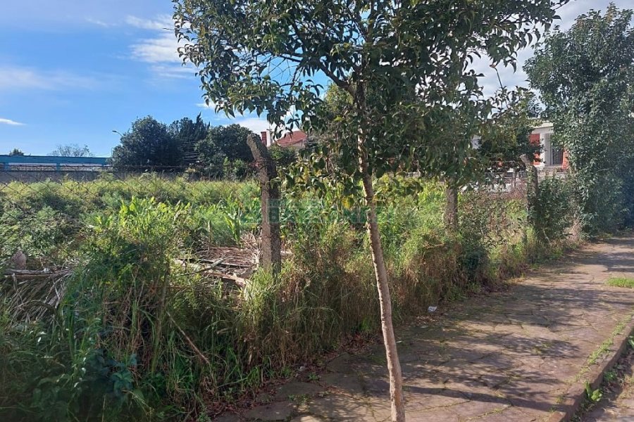 Terreno, no bairro Cinqüentenário em Caxias do Sul para Comprar