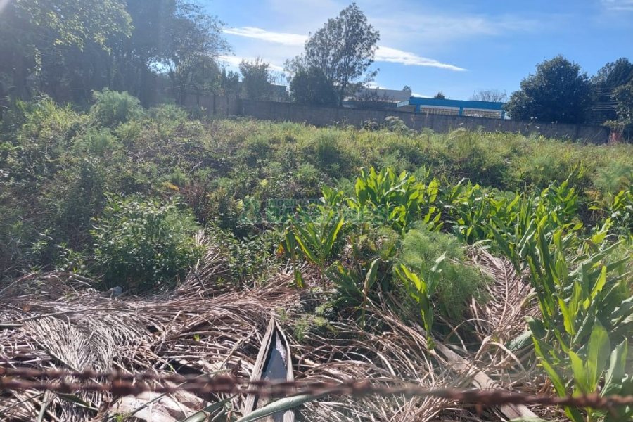 Terreno, no bairro Cinqüentenário em Caxias do Sul para Comprar