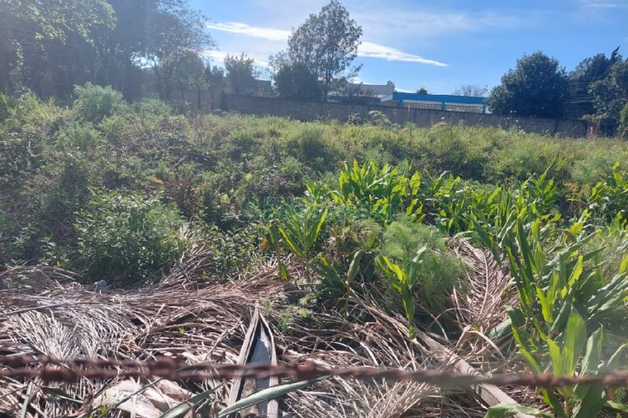 Terreno, no bairro Cinqüentenário em Caxias do Sul para Comprar
