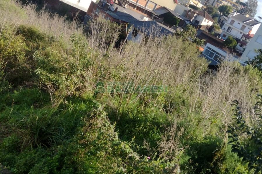 Terreno com 1447m², no bairro Rio Branco em Caxias do Sul para Comprar