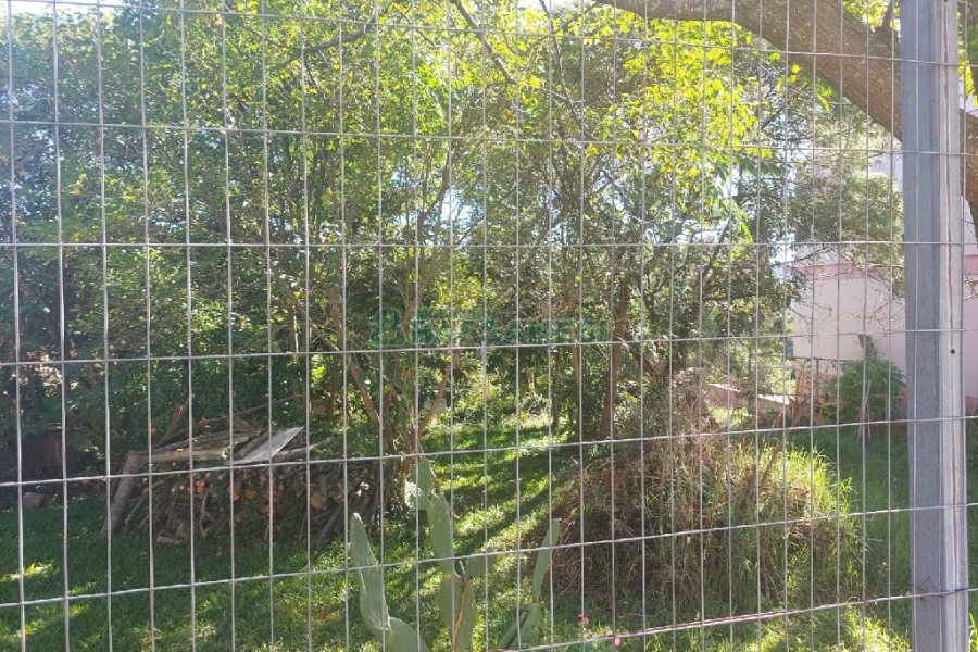 Terreno, no bairro Nossa Senhora de Fátima em Caxias do Sul para Comprar
