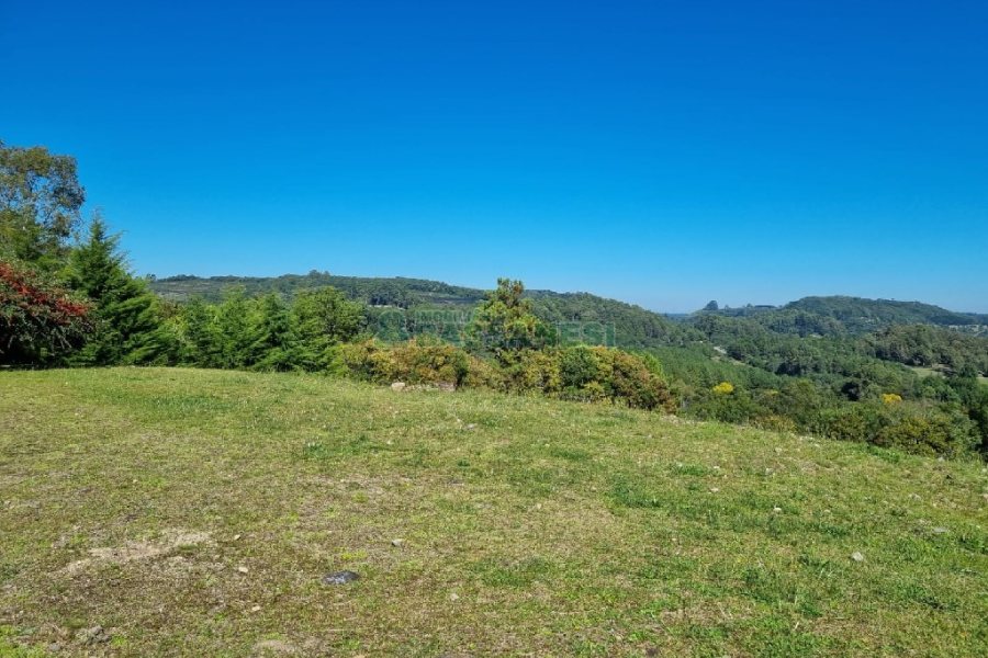Chácara com 200m², 2 dormitórios, 2 vagas, no bairro Ana Rech em Caxias do Sul para Alugar ou Comprar