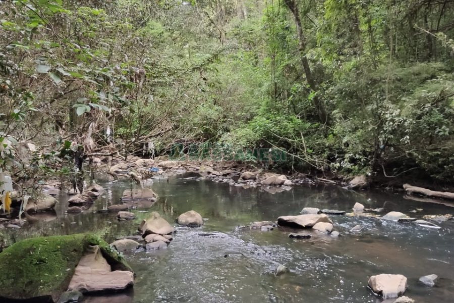 Chácara com 83m², no bairro Linha 40 em Caxias do Sul para Comprar