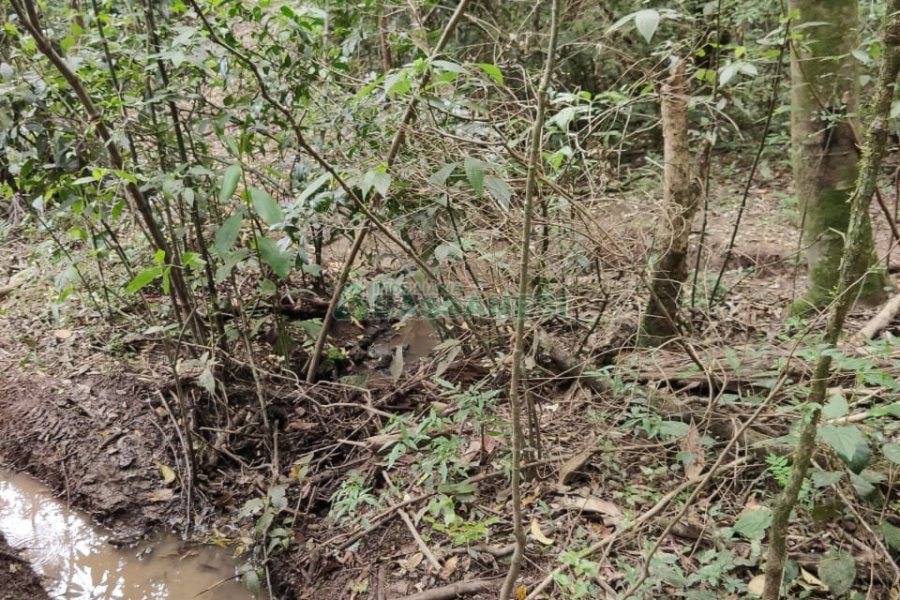 Chácara com 83m², no bairro Linha 40 em Caxias do Sul para Comprar