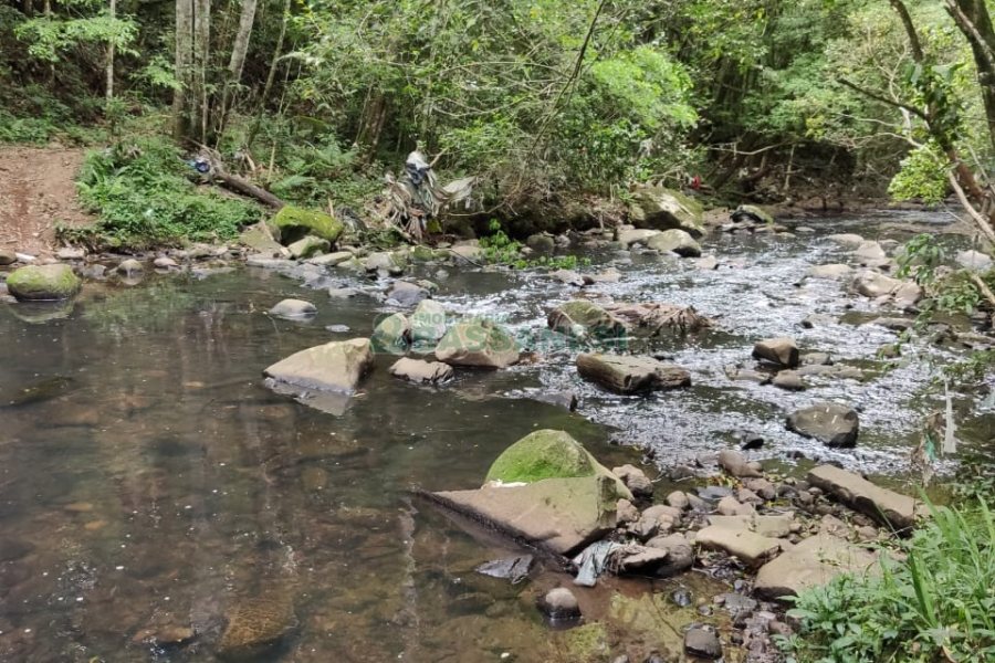 Chácara com 83m², no bairro Linha 40 em Caxias do Sul para Comprar