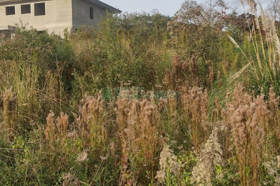 Terreno, no bairro Vinhedos em Caxias do Sul para Comprar