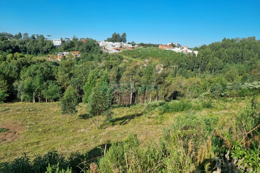 Terreno, no bairro Desvio Rizzo em Caxias do Sul para Comprar