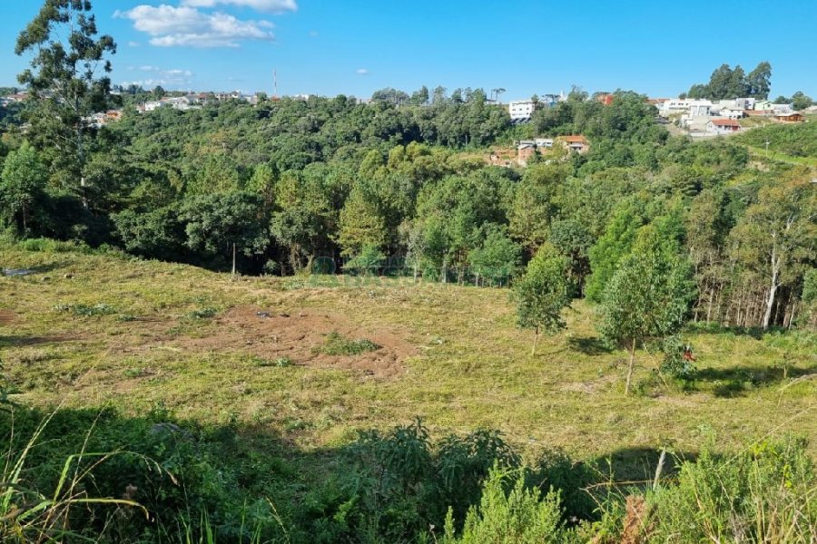 Terreno, no bairro Desvio Rizzo em Caxias do Sul para Comprar