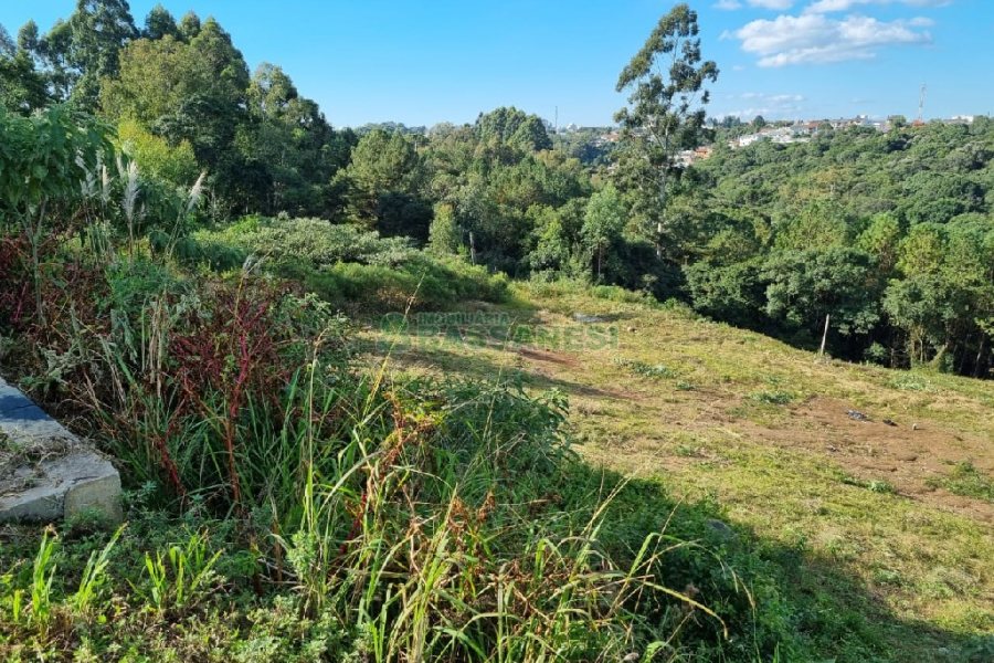 Terreno, no bairro Desvio Rizzo em Caxias do Sul para Comprar