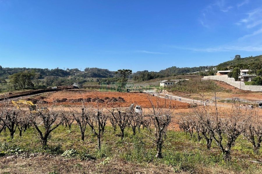 Terreno com 465m², no bairro Monte Bérico em Caxias do Sul para Comprar