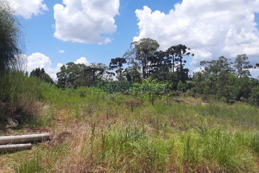 Terreno, no bairro Jardim das Hortências em Caxias do Sul para Comprar