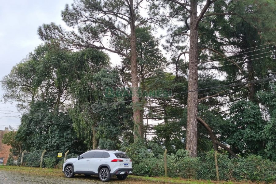 Terreno, no bairro Kayser em Caxias do Sul para Comprar