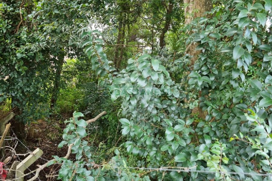 Terreno, no bairro Kayser em Caxias do Sul para Comprar