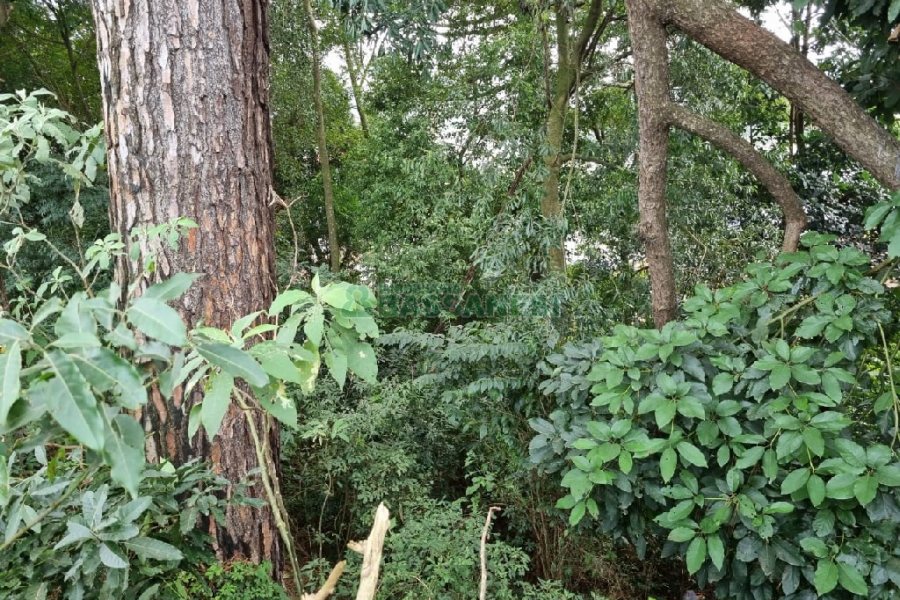 Terreno, no bairro Kayser em Caxias do Sul para Comprar