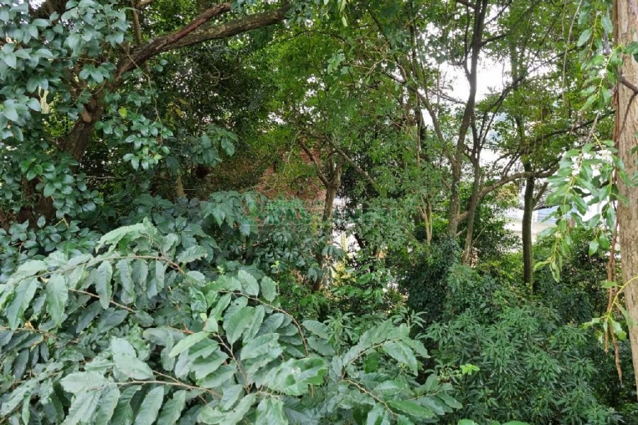 Terreno, no bairro Kayser em Caxias do Sul para Comprar