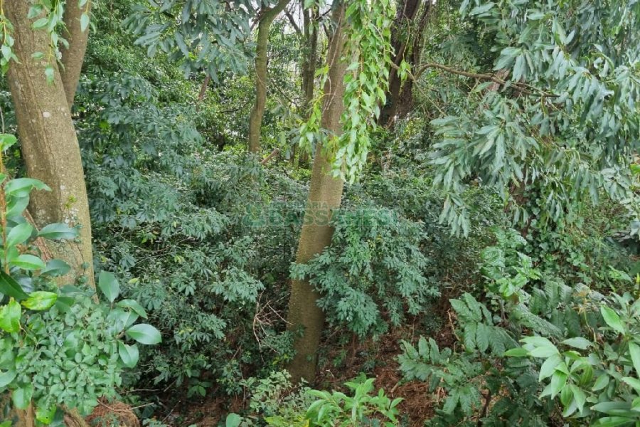 Terreno, no bairro Kayser em Caxias do Sul para Comprar