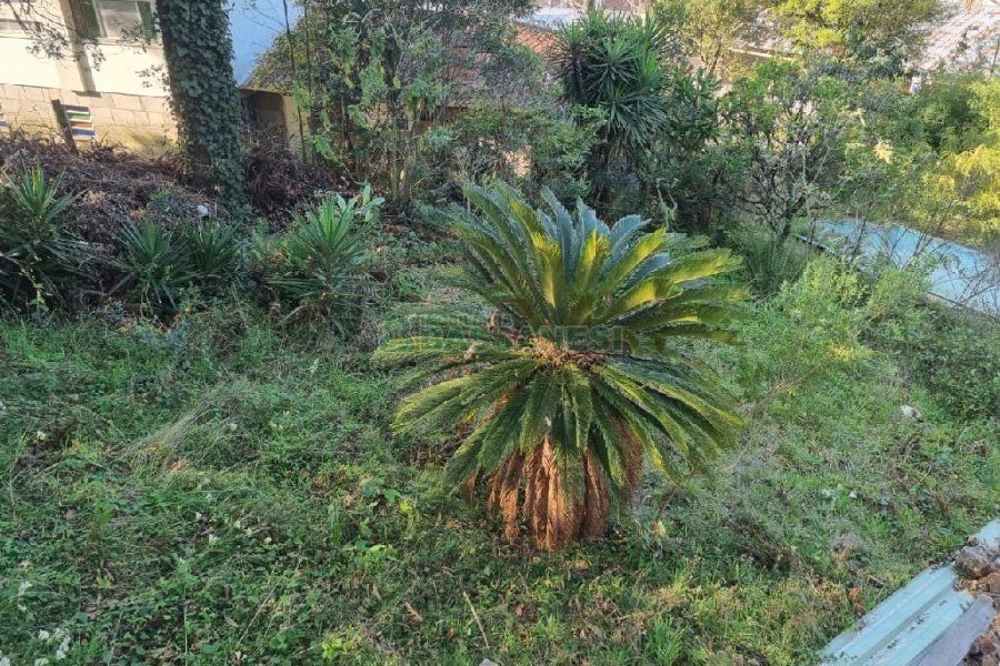 Terreno, no bairro Rio Branco em Caxias do Sul para Comprar