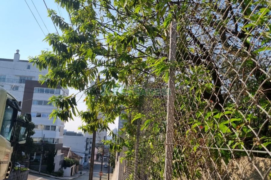 Terreno, no bairro Rio Branco em Caxias do Sul para Comprar