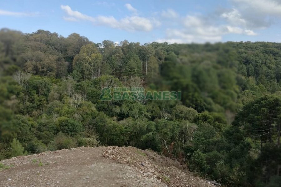 Terreno com 1465m², no bairro São Giácomo em Caxias do Sul para Comprar