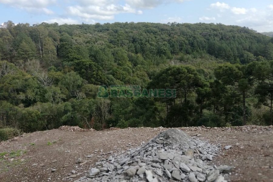 Terreno, no bairro São Giácomo em Caxias do Sul para Comprar