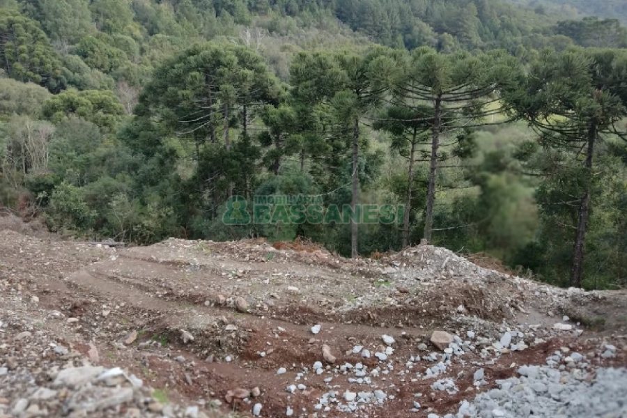 Terreno, no bairro São Giácomo em Caxias do Sul para Comprar