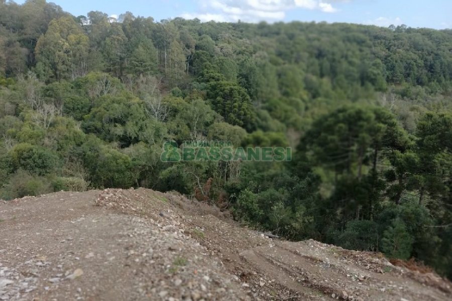 Terreno, no bairro São Giácomo em Caxias do Sul para Comprar