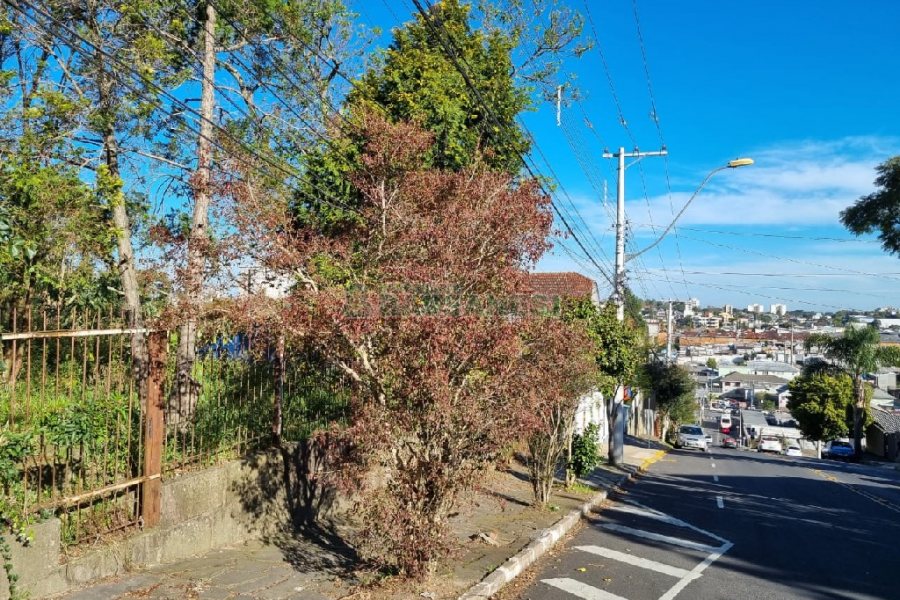 Terreno com 850m², no bairro Petrópolis em Caxias do Sul para Comprar