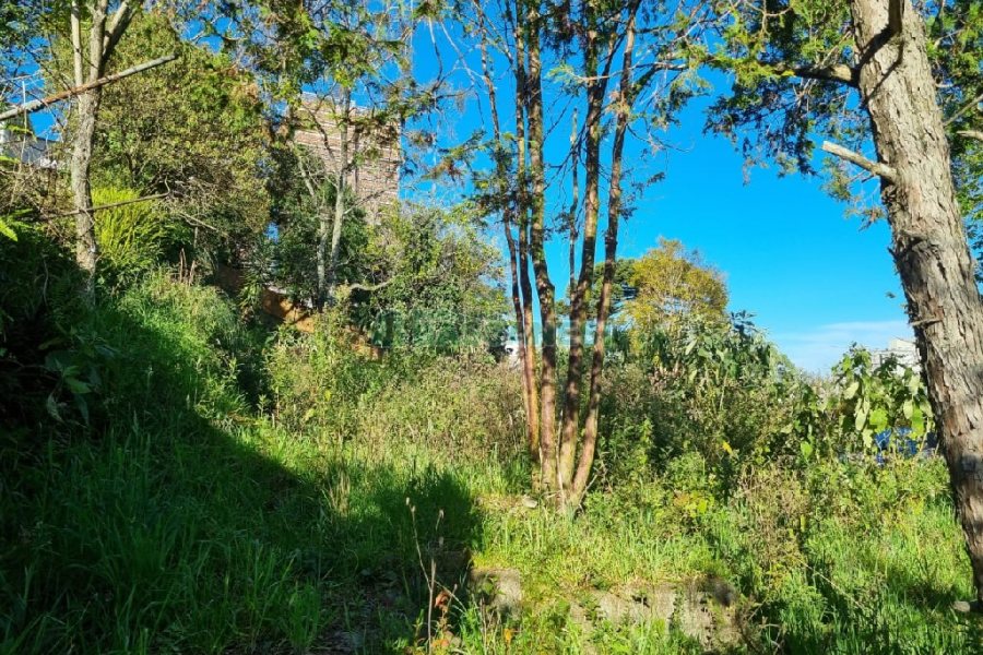 Terreno com 850m², no bairro Petrópolis em Caxias do Sul para Comprar